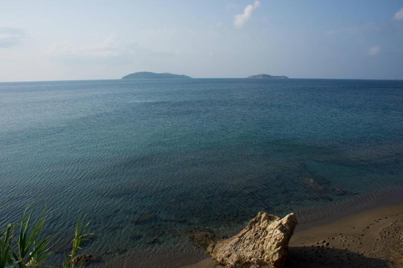 Aphrodite Skiathos - image 10