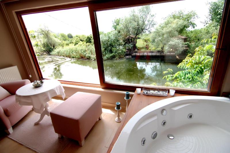 Deluxe Suite with Spa Bath image 2
