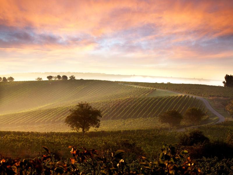 Luxury Apartment image 3