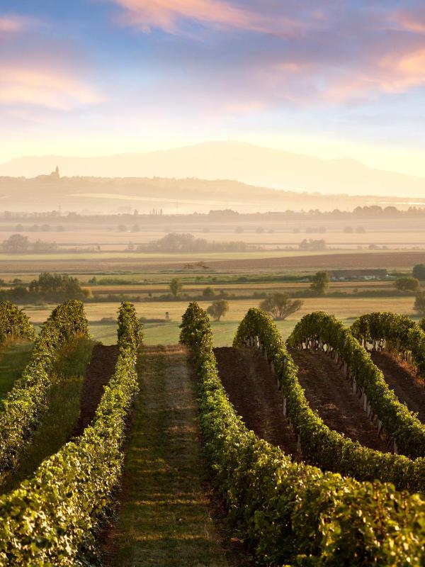 Luxury Apartment image 2