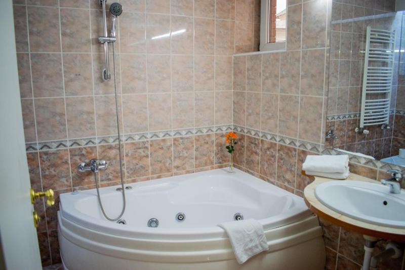 Executive Double Room image 2