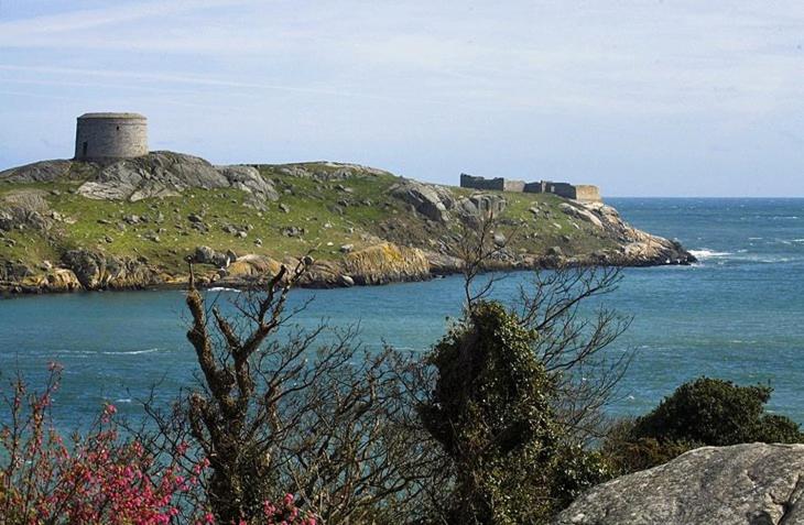 Studio Apartment image 4