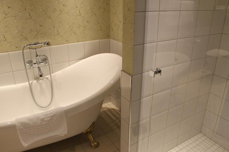 Deluxe Double Room image 3