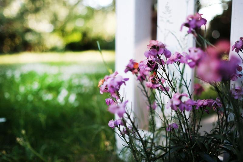 Holiday Home image 2