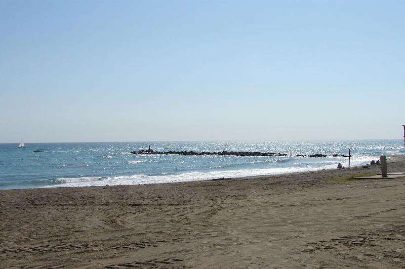 Duquesa 432 - image 24