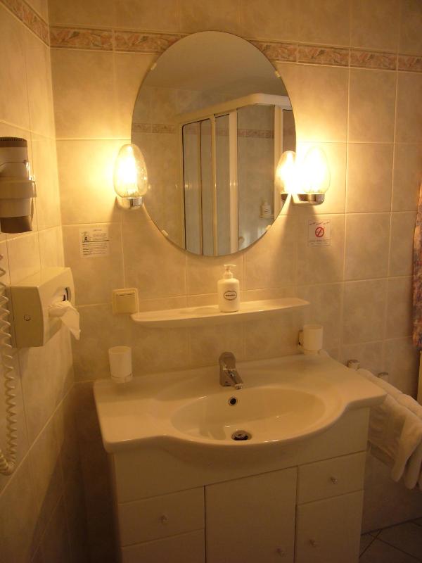 Standard Single Room image 4