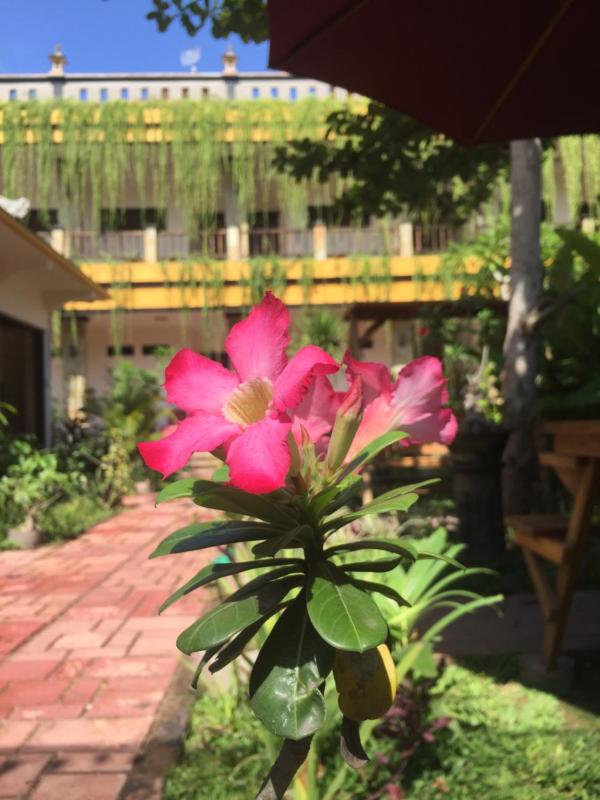Saka Boutique Hotel - image 11