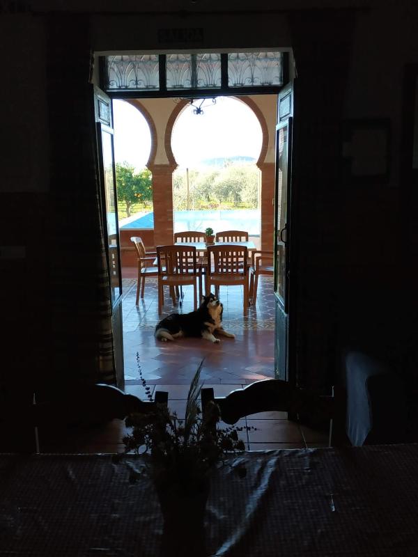 Apartment - Ground Floor image 4