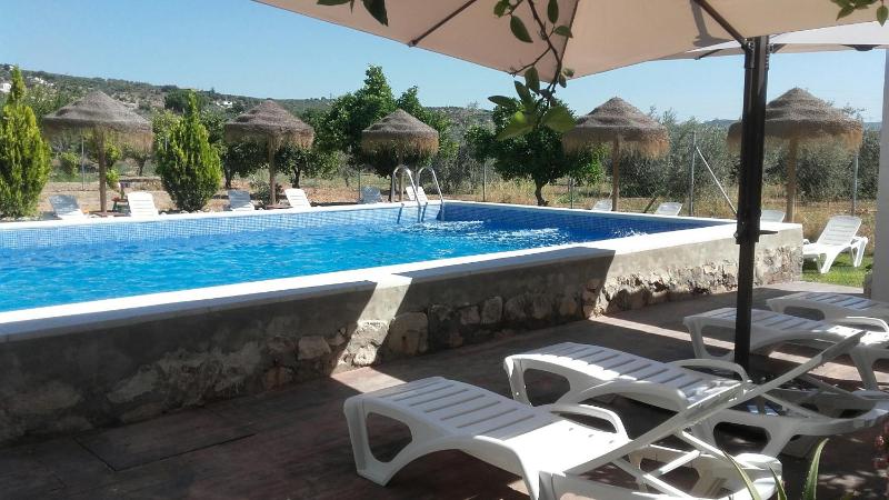 Apartment - Split Level image 1