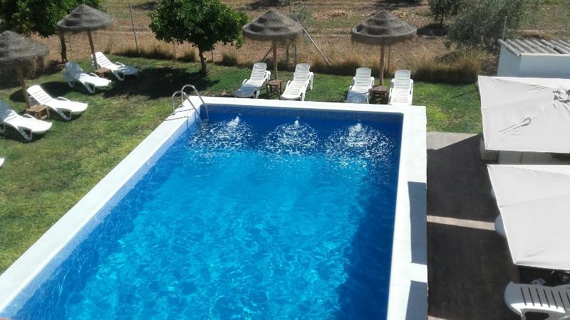 Apartment - Split Level image 4