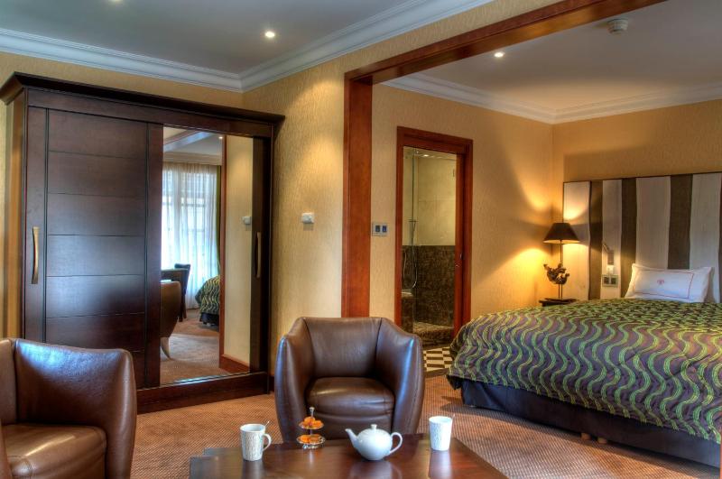 Large Double Room with Spa Access  image 4