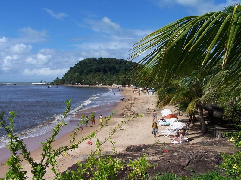 Concha Tropical Flat - image 32