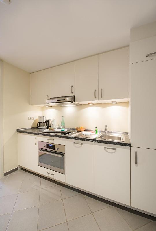 Large One-Bedroom Apartment image 4