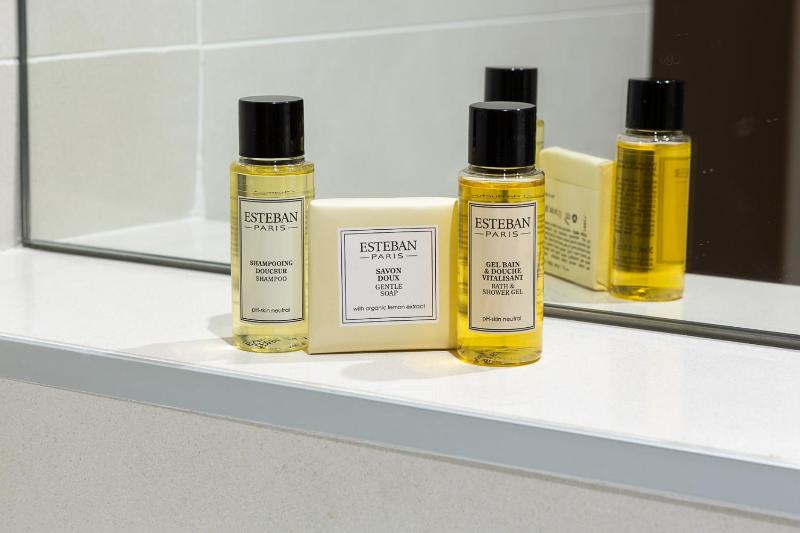 Family Room (2 Adults + 2 Child) image 4