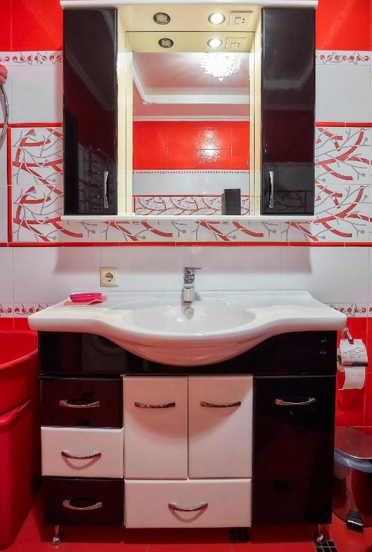 One-Bedroom Apartment image 2