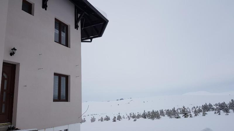 Duplex Apartment image 1