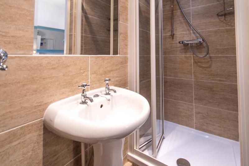 Family Room with Shower image 3