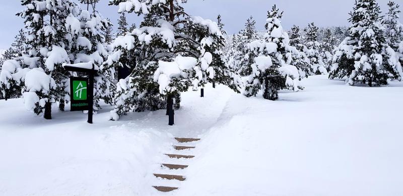 Previja Zlatibor Chalet - image 10