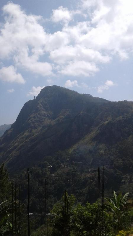 Jaye Homestay - image 14