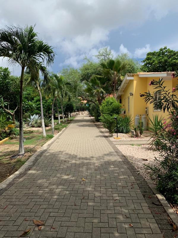 Bon Bini na Curacao - image 9