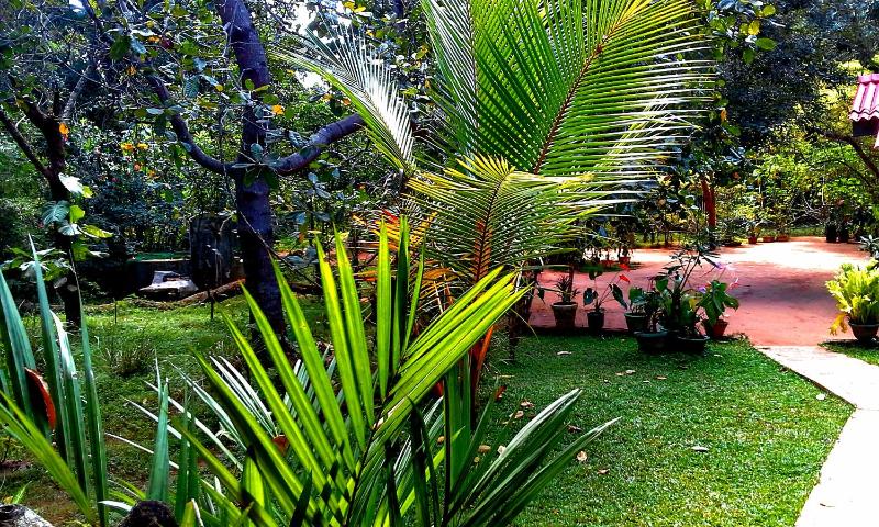 Nethmi Homestay - image 10