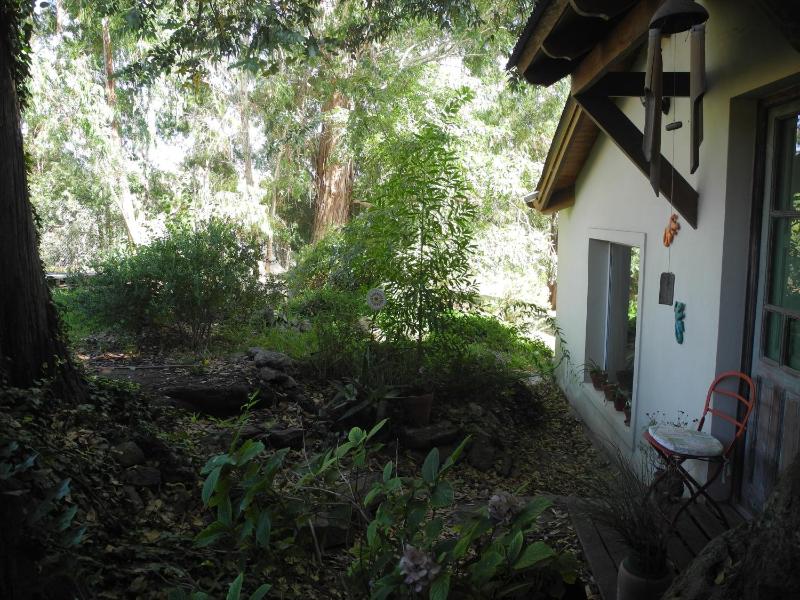 Entre Sierras B&B - image 3