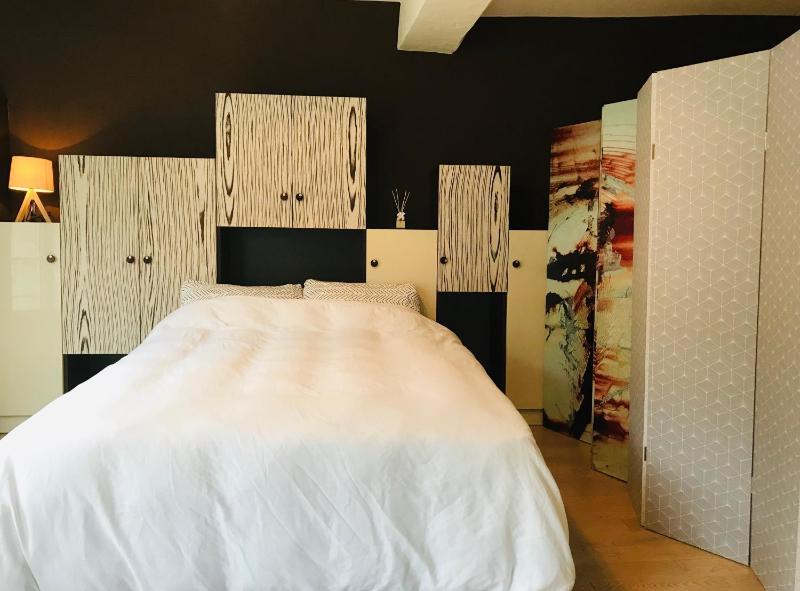 Beautiful duplex in the center of Paris - image 14