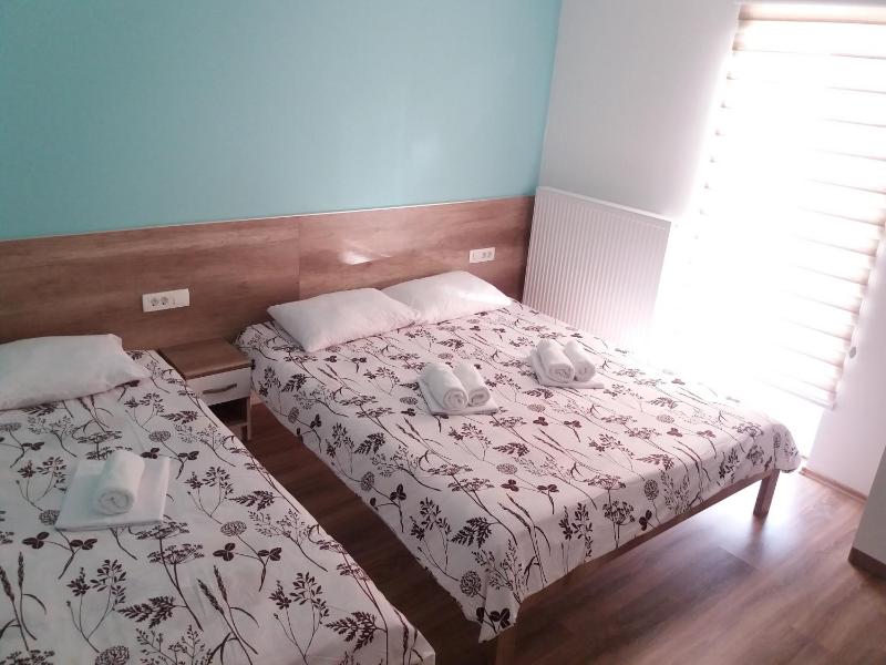 Deluxe Double or Twin Room with Lake View image 1