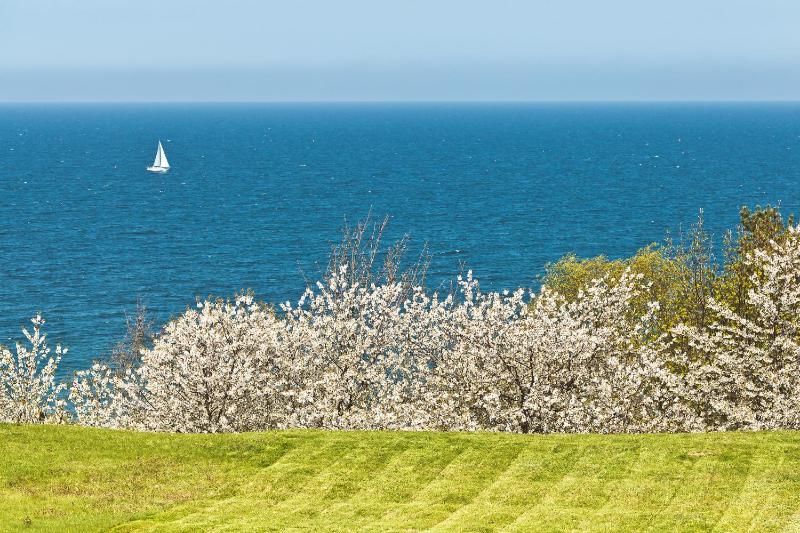 Bungalow (2 Adults) with Sea View image 1