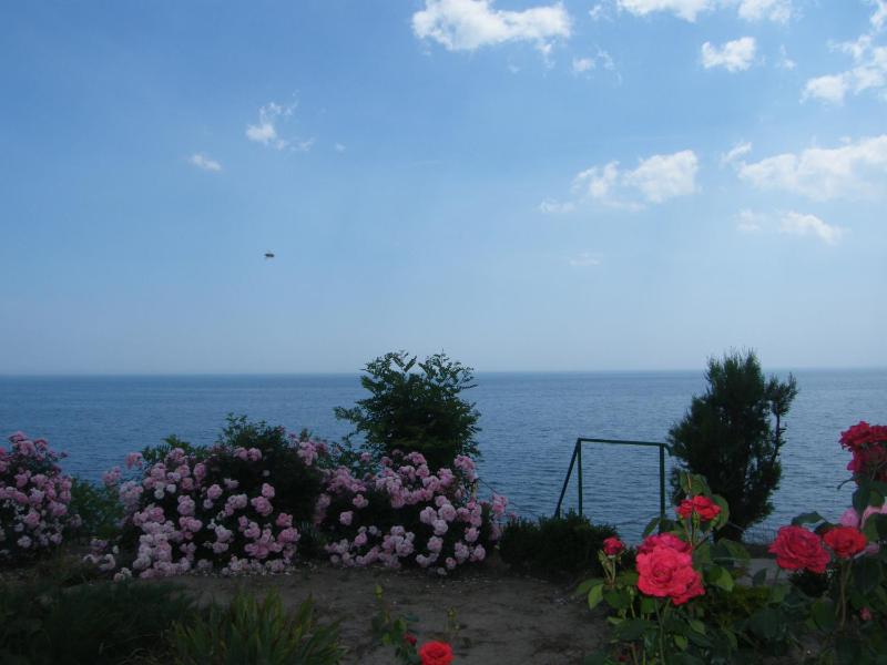 Vila Lucian - image 30