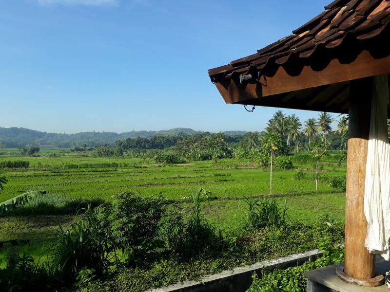 Villa Blue Steps - image 16