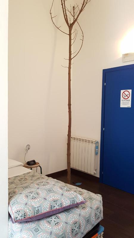 Budget Single Room image 3
