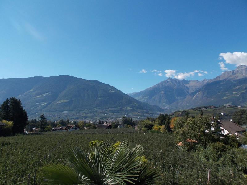 Comfort Double Room with Balcony image 3