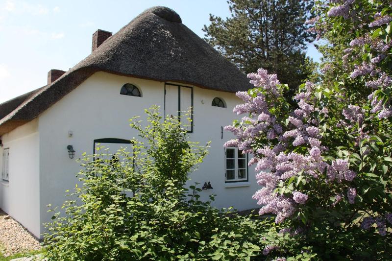 Holiday Home image 3