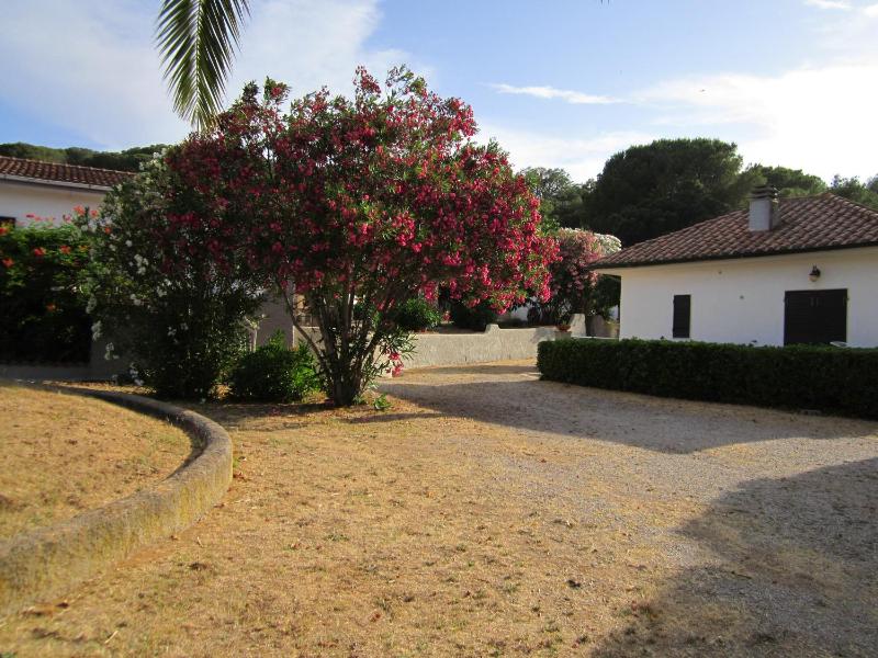 Baia Azzurra - image 47