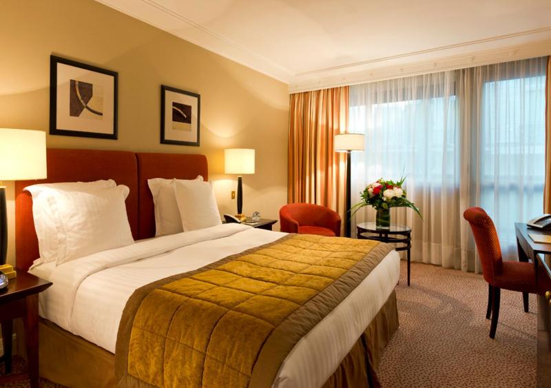 Deluxe King Room image 2