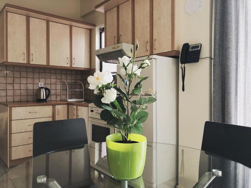 One-Bedroom Apartment image 4