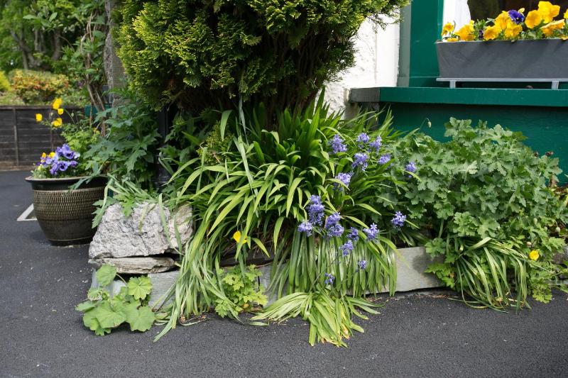 The Haven - image 21