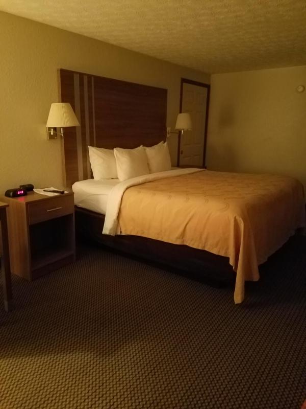 King Room - Non-Smoking/Ground Floor - Pet Friendly image 4
