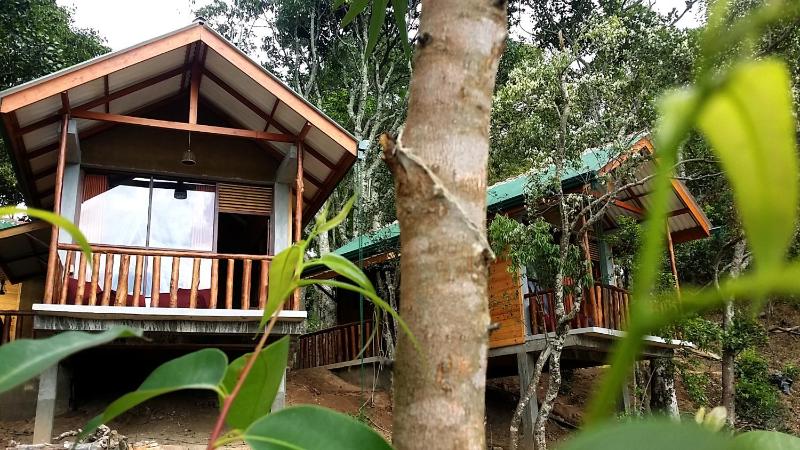 Saffron Eco Cottage - image 14