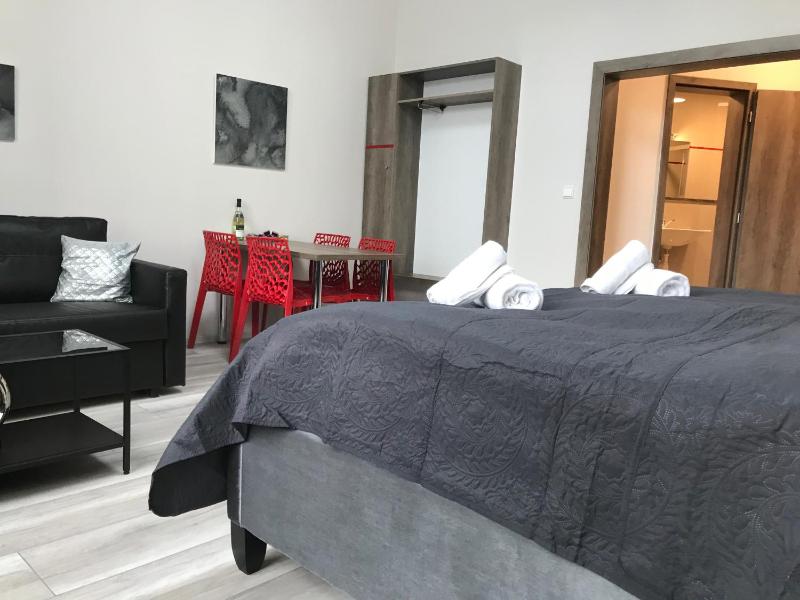 Studio Apartment image 4
