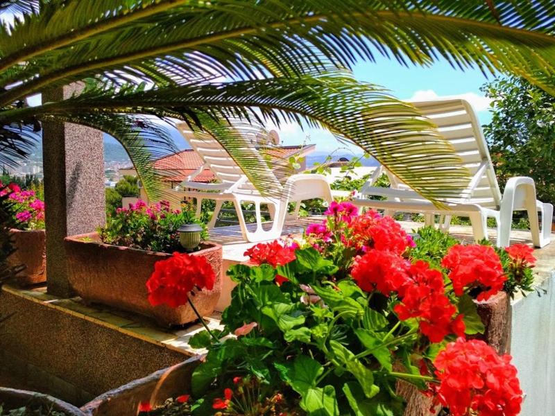 Apartment with Garden View image 4