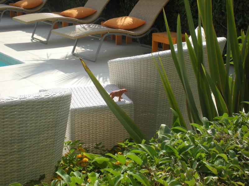 Manolis' House - image 29