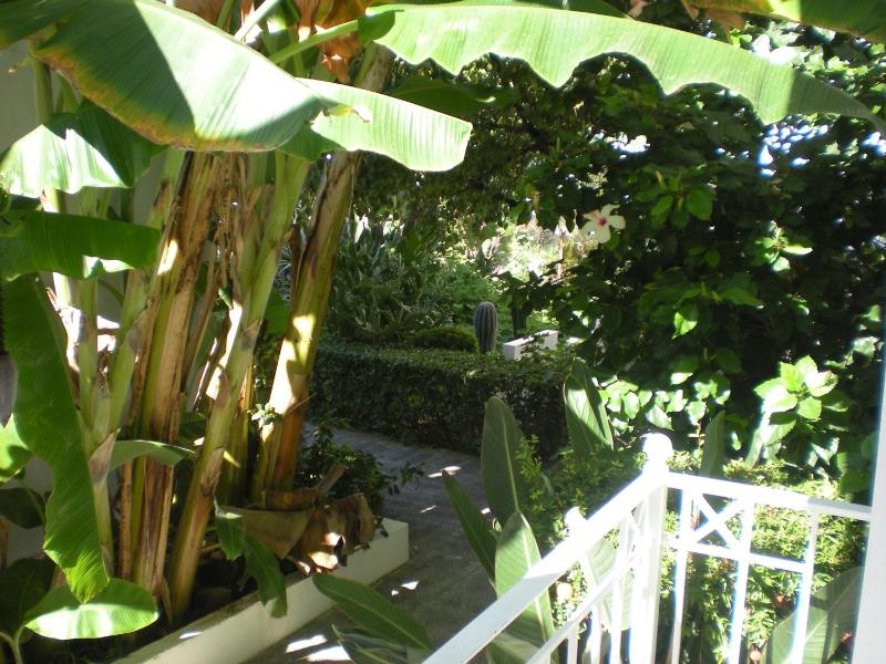 Manolis' House - image 31