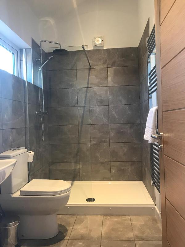 Deluxe Double or Twin Room image 4