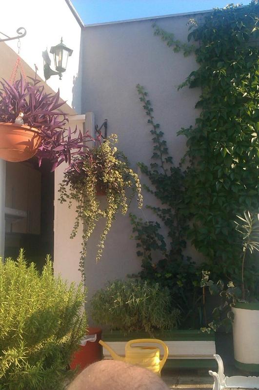 Studio with Balcony image 1