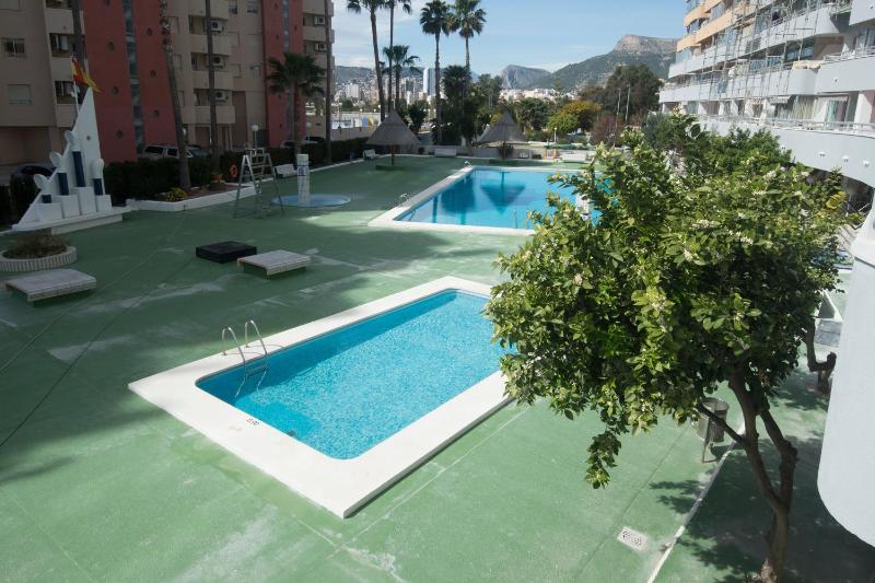 36 Avenida Juan Carlos I - image 8