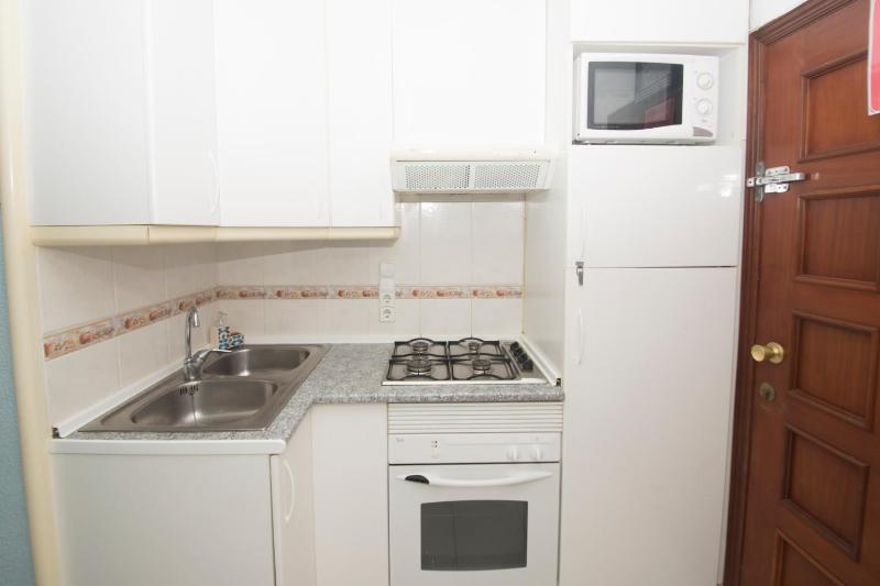 36 Avenida Juan Carlos I - image 13