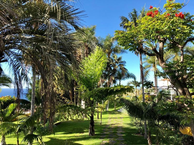 Hotel Tigaiga - image 6