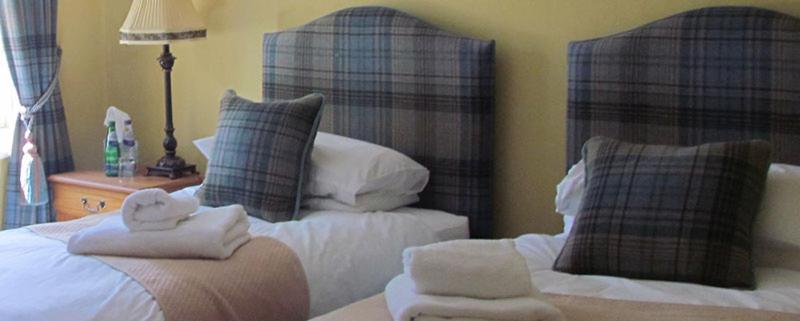 Standard Twin Room image 3